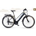 Elektrofahrrad VTC MTF Road 3.4W 28 Zoll 900Wh 36V/25Ah Rahmen 19'