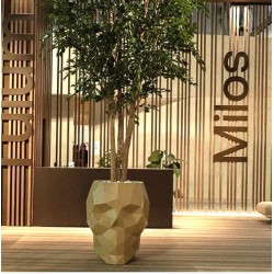 Schedel Vondom Plantenbak H100cm Groot